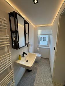 a bathroom with a sink and a toilet at Ferienhaus mit Terrasse in Buttelstedt +42 photos