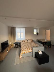 Televisyen dan/atau pusat hiburan di Appartement neuf CDG, Asterix, Chantilly, Mer de Sable
