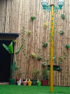 Riddhi Siddhi Hostel室外花園