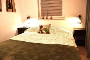 Postel nebo postele na pokoji v ubytování Apartament Szałwiowa Dolina