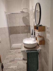 a bathroom with a sink and a shower at Casa André in Imola