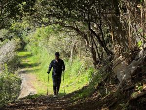 a man walking down a dirt path in the woods at IZU Elysian View in Koura