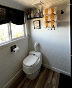 Ein Badezimmer in der Unterkunft Remote Modern Tiny House with Deck, BBQ and Mountain Views in Arizona