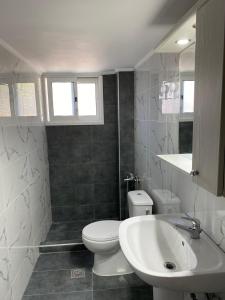 a bathroom with a white toilet and a sink at Chrisa's Home in Salamina