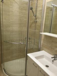 a shower with a glass door next to a sink at Apartment Brno in Škatari +51 photos