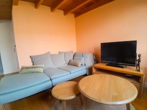 TV a/nebo společenská místnost v ubytování Joli duplex refait à neuf, face gare, près Ermitage