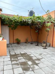 a patio with plants on the side of a building at Casa en Santa Rosa in Santa Rosa +15 photos