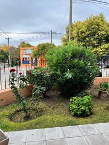 a garden with flowers and plants in front of a fence at Casa en Santa Rosa in Santa Rosa