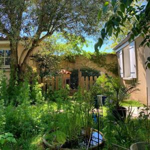 a garden with a wooden fence and a tree at Nuitée Naturopathique in La Rochelle