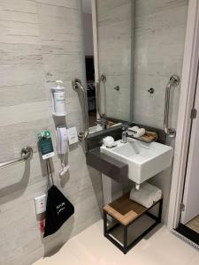 a bathroom with a sink and a mirror at Radisson Pinheiros in São Paulo