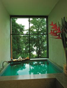 Rainforest Resort内部或周边的泳池