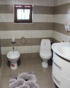 a bathroom with a toilet and a sink at Mary's Country House in Luncaviţa