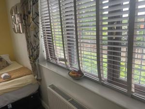 a bedroom with two windows and a bowl of fruit in a bowlestamp at Camaraderie Guest House in York