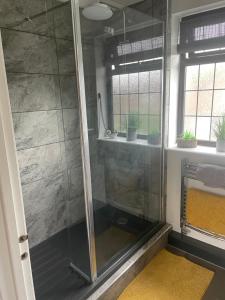 a shower with a glass door in a bathroom at Camaraderie Guest House in York