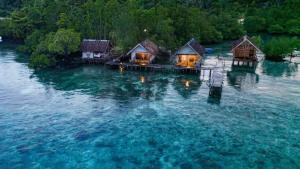 BesirHomestay taporaikos的水中有一个有小屋的岛屿