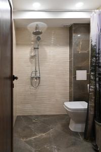 ein Badezimmer mit Toilette und Dusche in der Unterkunft Zlati`s house 2 in Sofia + 12 Fotos