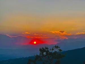 a sunset in the mountains with a tree in the foreground at Aanshi Homestay in Bhaktapur