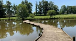 ein Holzsteg über einem See mit Bäumen im Hintergrund in der Unterkunft La petite maison de l'étang in Magnac-Laval