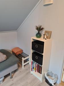 a room with a book shelf with books at Rom med privat bad, gratis parkering og Wifi in Vormedal