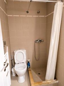 a bathroom with a toilet and a shower at Villa Sea View in Chios +32 photos