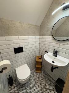 a bathroom with a toilet and a sink at Tam Gdzie Rosną Poziomki in Kacwin +46 photos