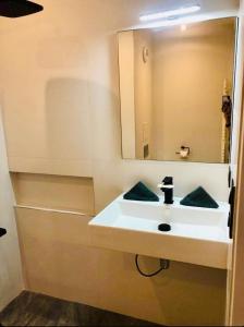a bathroom with a white sink and a mirror at ''578'' Superbe T2 Front de mer, Parking, Clim in Sète +11 photos