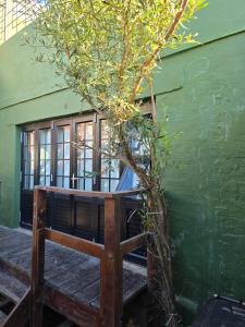 a tree sitting in front of a green building at 55 New Street, Makhanda in Grahamstown