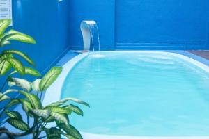 a hot tub with a blue wall and a plant at HANNA Balneário Hotel in Balneário Camboriú