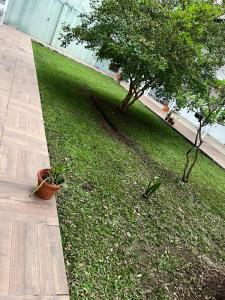 Zahrada ubytování Casa em Condomíinio Centro BC