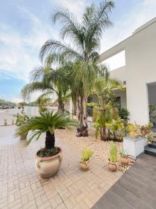 a courtyard with palm trees and potted plants at Villa Landolina in Noto
