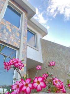 a bunch of pink flowers in front of a house at Lomas del Encanto, villa en la montaña cerca del mar in La Asunción