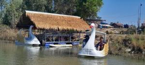 two swan boats in the water with people on them at เอสบีพูลวิลล่า in Amphoe Phon Thong