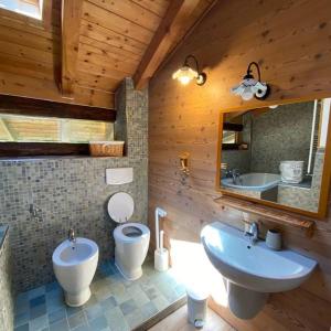 a bathroom with a sink and a toilet and a mirror at Chalet Giulia in Bezzecca +12 photos