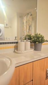 Ένα μπάνιο στο Joyful Stay Stylish Retreat in Perth City