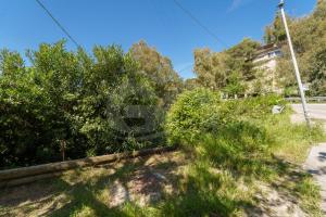 Imagen de la galería de Casa dell'Asino - Goelba, en Fetovaia