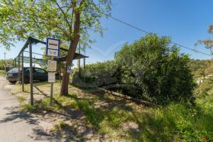 Imagen de la galería de Casa dell'Asino - Goelba, en Fetovaia 25 fotos más