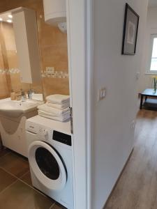 Koupelna v ubytování Apartma Mjrka