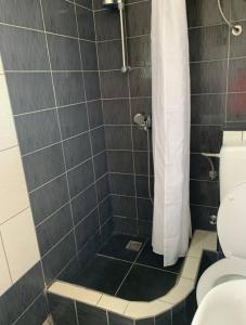 a bathroom with a shower with a toilet at Sunny in Split +4 photos