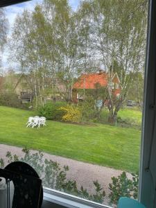 two white horses walking in the grass outside a window at Newly renovated, spacious flat! in Uppsala
