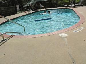a large swimming pool with people in it at Wild Plum Cabin No.1 in Eureka Springs