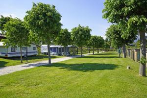 Zahrada ubytování Camping Onda Blu