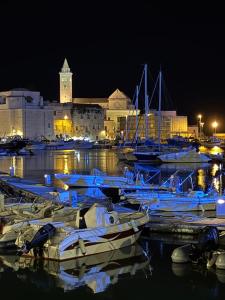 a group of boats docked in a harbor at night at VISCHI Roof con TERRAZZO e vista in Trani