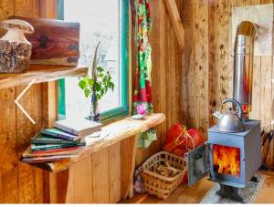 Saint MabynWrens Nest的客房设有燃木火炉和窗户。