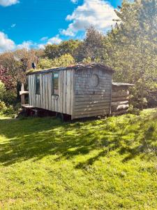 an old shack sitting in a field of grass at Wrens Nest in Saint Mabyn