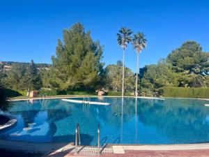 a large swimming pool with palm trees in the background at Casa Hoyo 19 in Masía Aldamar