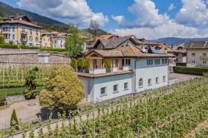 una villa en un viñedo en un pueblo con una casa en Villa Azzurra, Cloz Ospitar, en Cloz