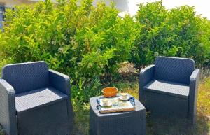 Zahrada ubytování Agriturismo Molle + 32 fotografií