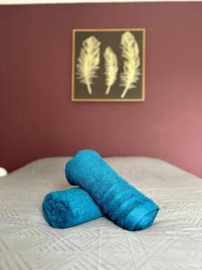 a blue blanket on a bed with a picture of feathers at Le Vallon Appartement T2 in Trébas +39 photos