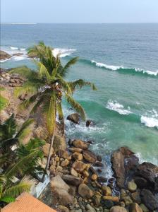 a palm tree on a rocky beach with the ocean at DEVI OCEAN SPA-Ayurveda hotel in Trivandrum