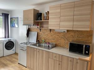 Kuchyň nebo kuchyňský kout v ubytování Apartma Confine